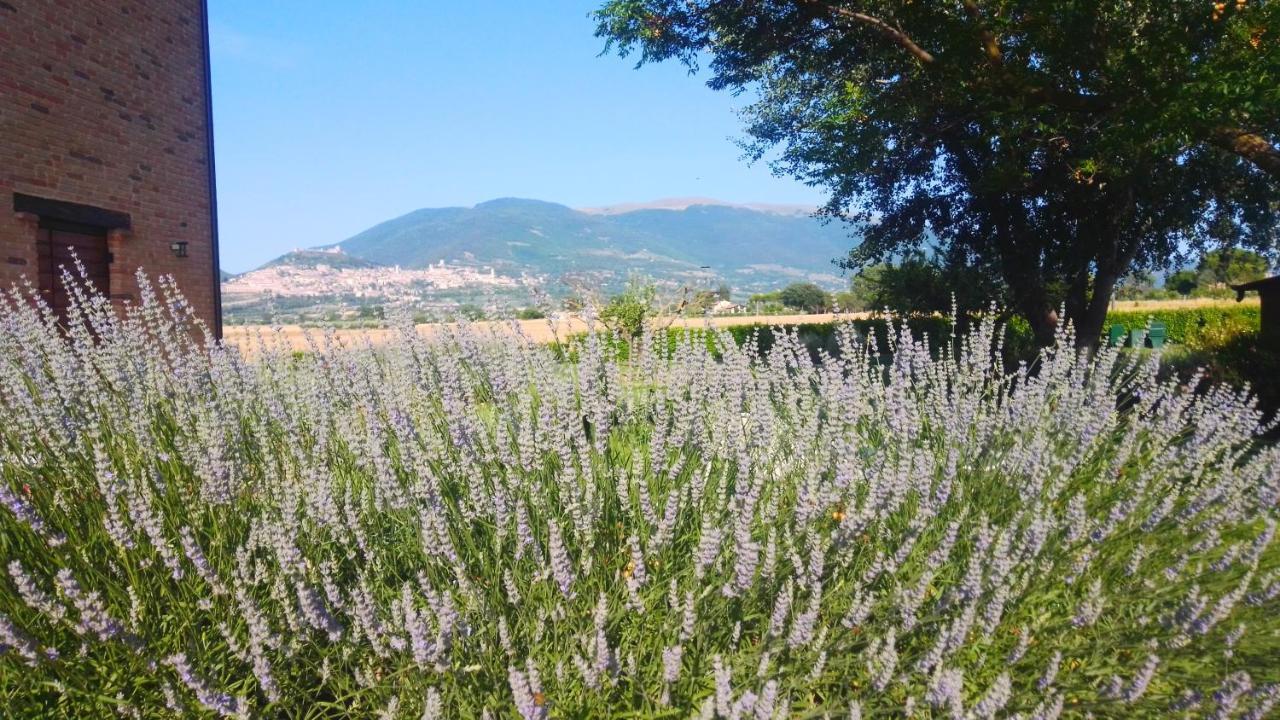 Assisium Agriturismo Exterior foto